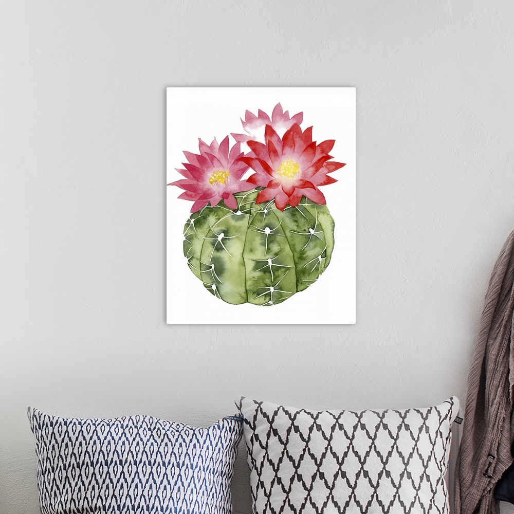 A bohemian room featuring Watercolor painting of a round cactus with blooming red flowers.