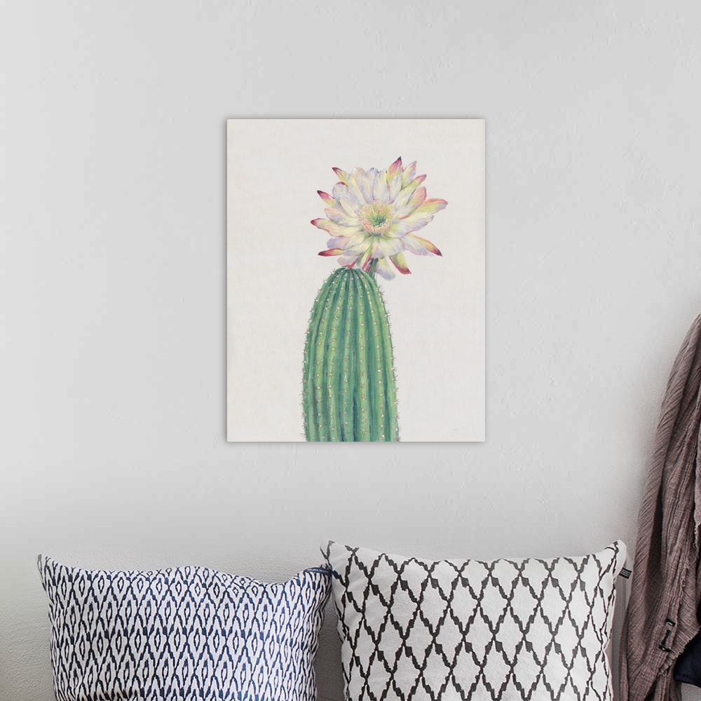 A bohemian room featuring Cactus Blossom I