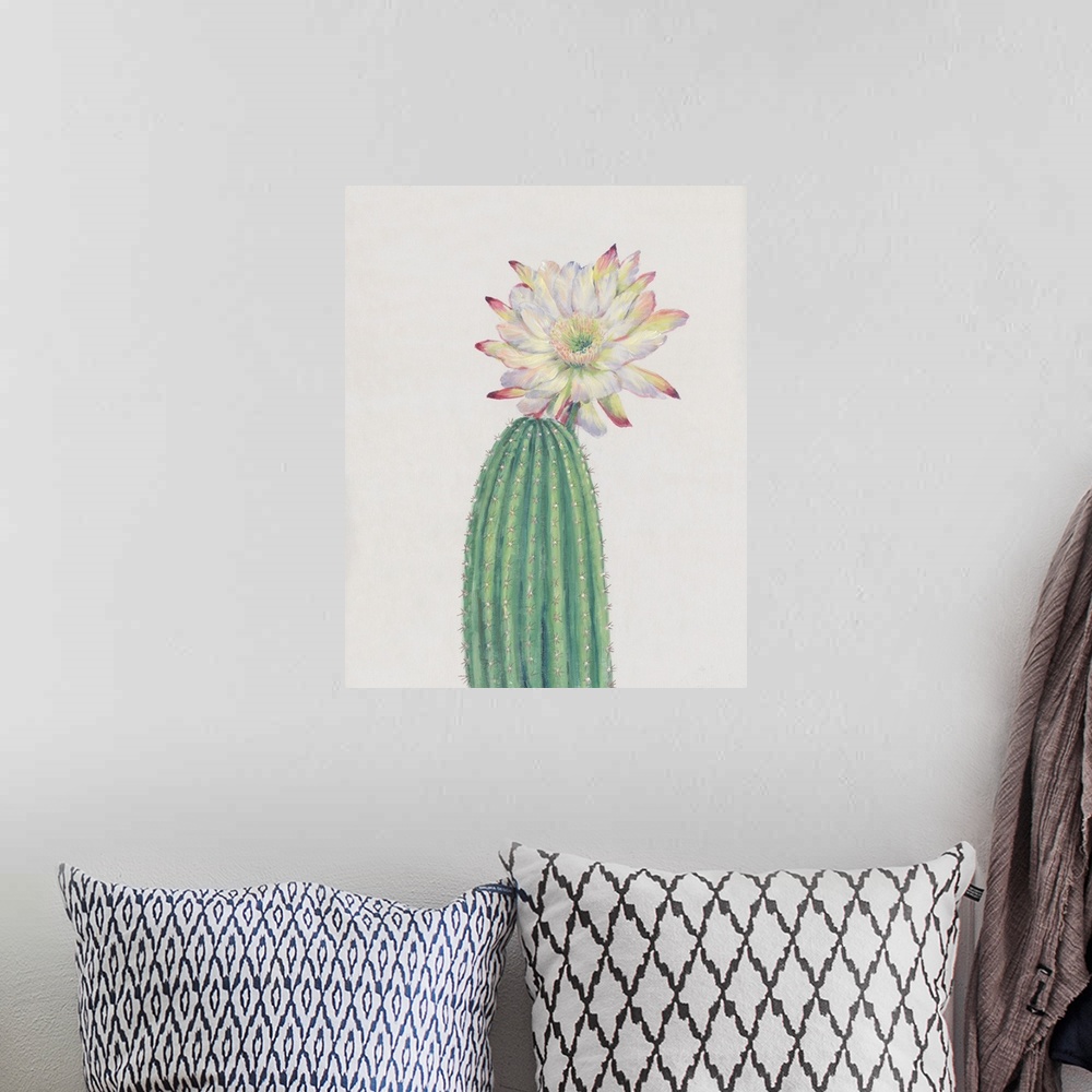 A bohemian room featuring Cactus Blossom I