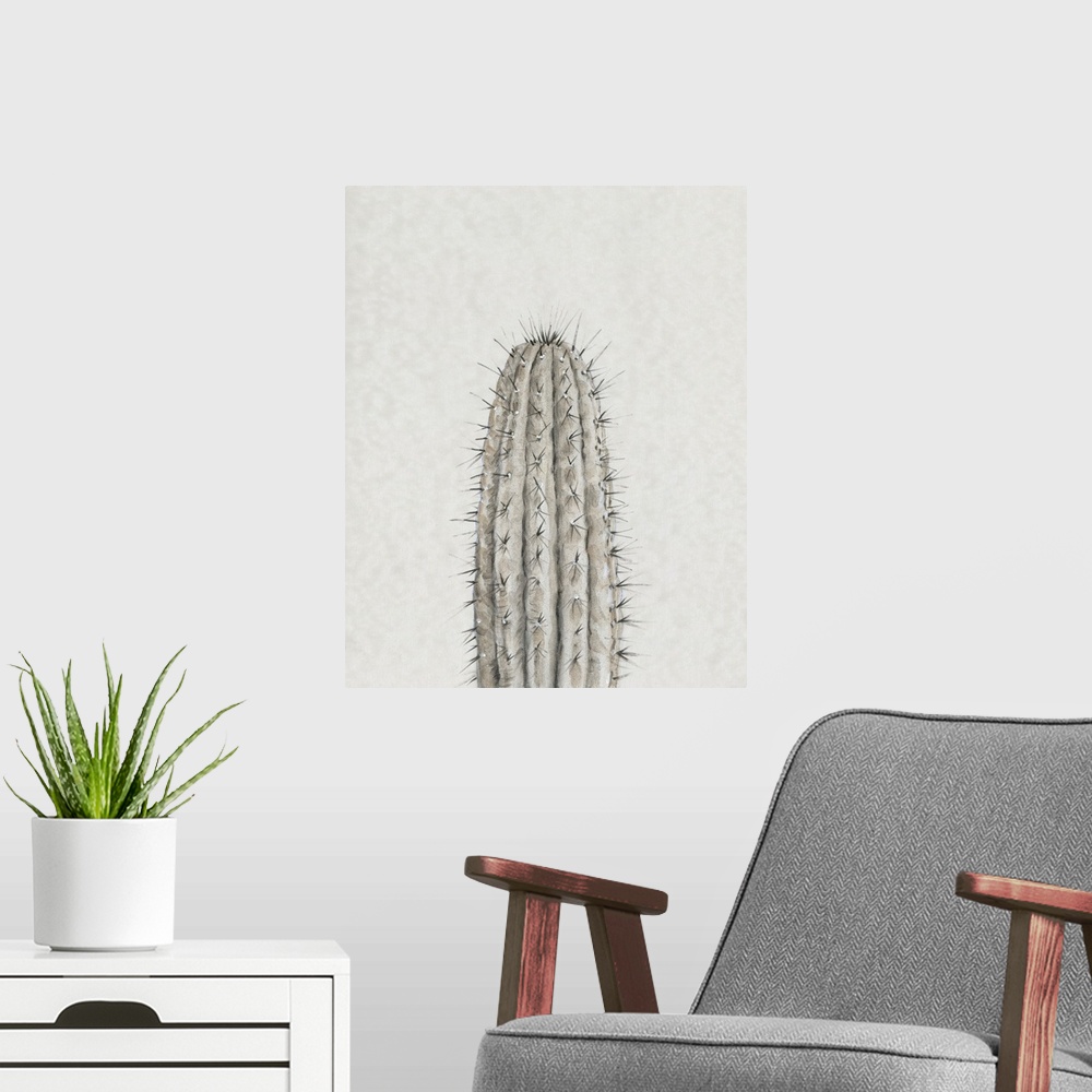 A modern room featuring Cactus Study III