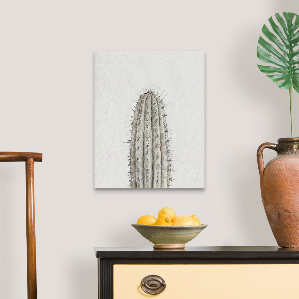 A traditional room featuring Cactus Study III