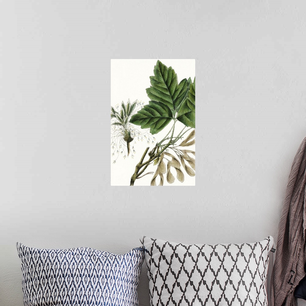 A bohemian room featuring This contemporary artwork features an illustration of a close up of a botanical plant partially c...