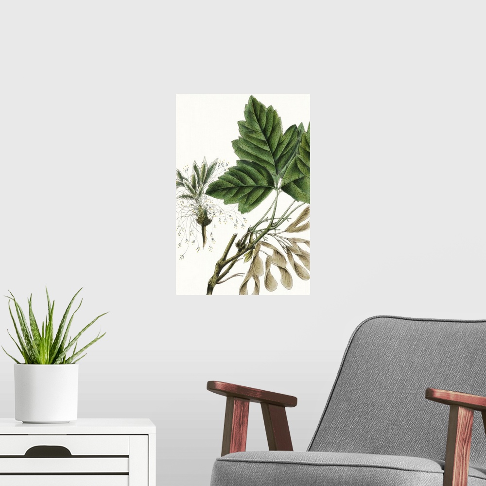 A modern room featuring This contemporary artwork features an illustration of a close up of a botanical plant partially c...