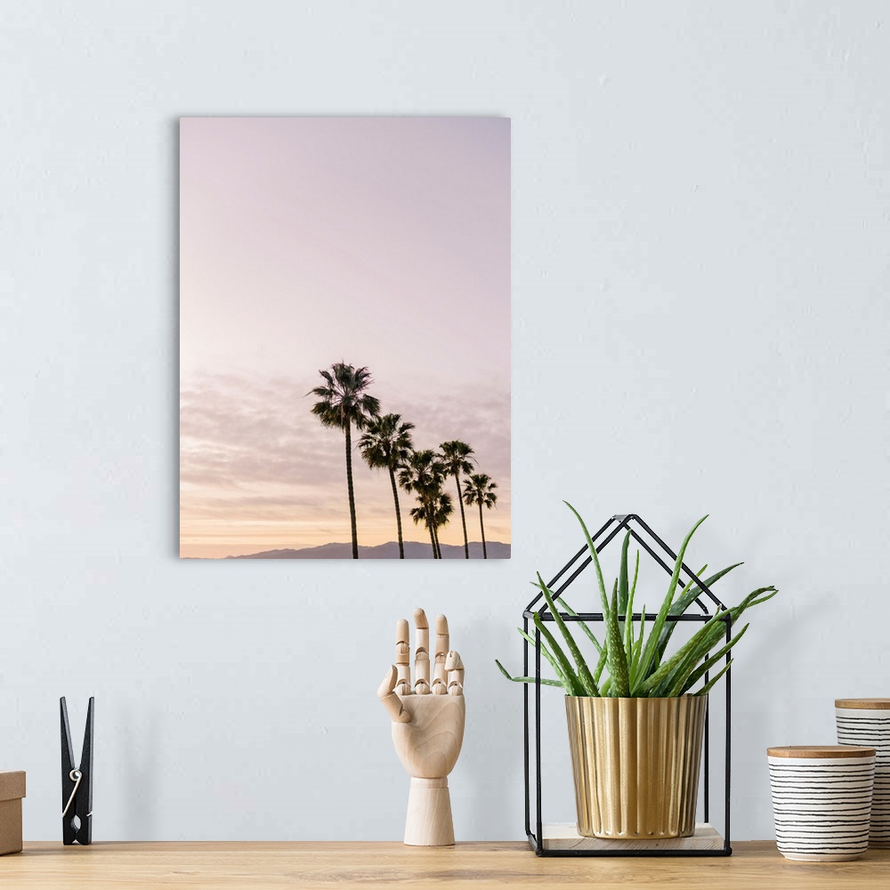 A bohemian room featuring A photograph of a row of six palm trees in front of an early evening sky and mountains in the dis...