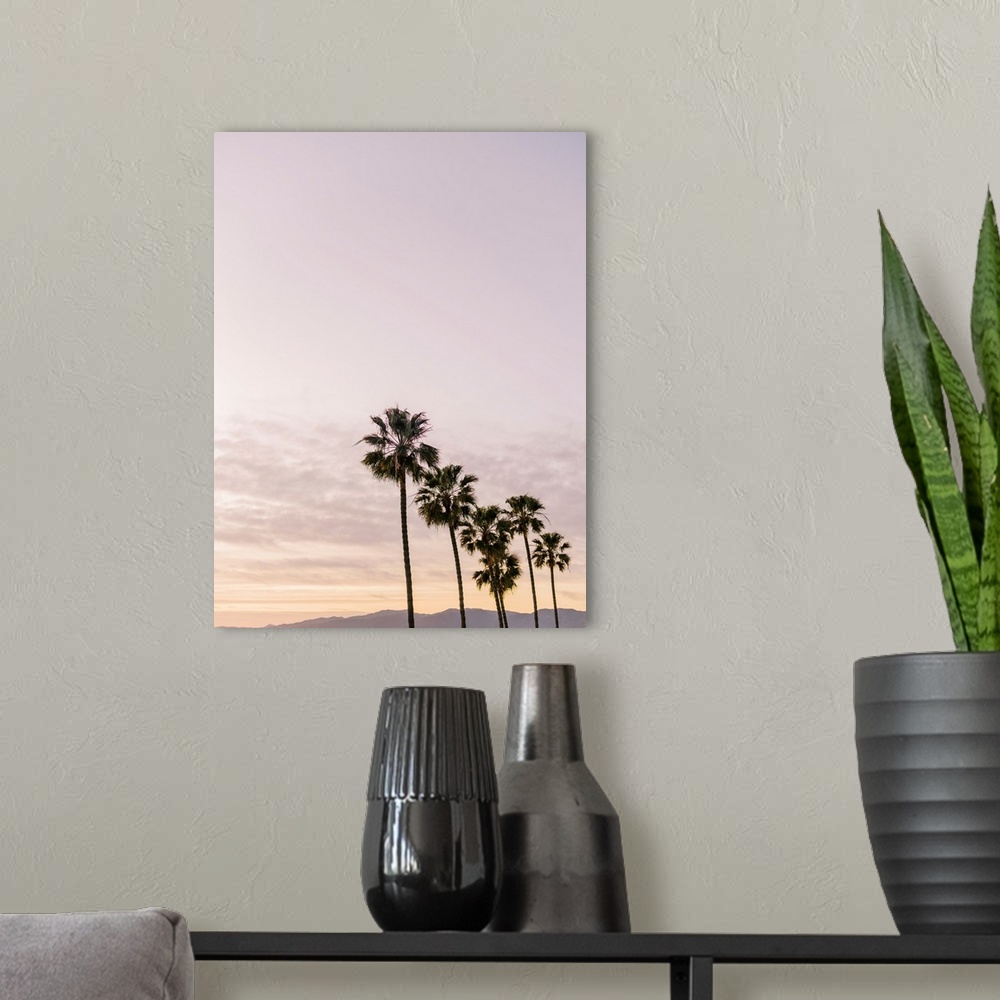 A modern room featuring A photograph of a row of six palm trees in front of an early evening sky and mountains in the dis...