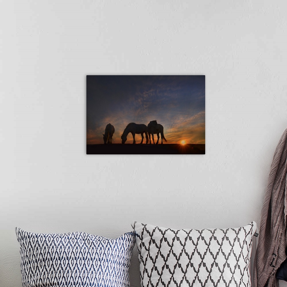 A bohemian room featuring Fine art photo of three silhouetted horses grazing at sunset.