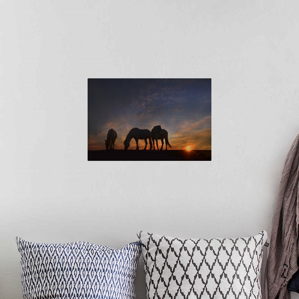 A bohemian room featuring Fine art photo of three silhouetted horses grazing at sunset.