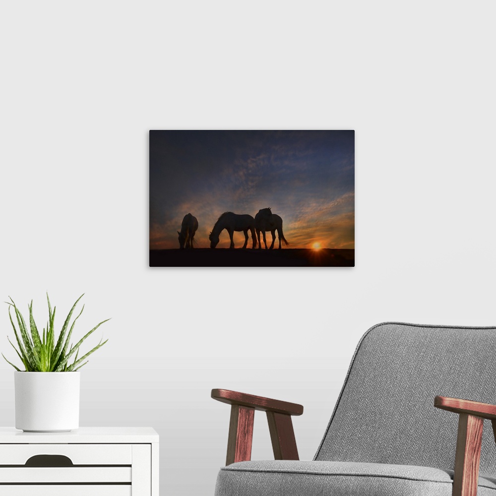 A modern room featuring Fine art photo of three silhouetted horses grazing at sunset.