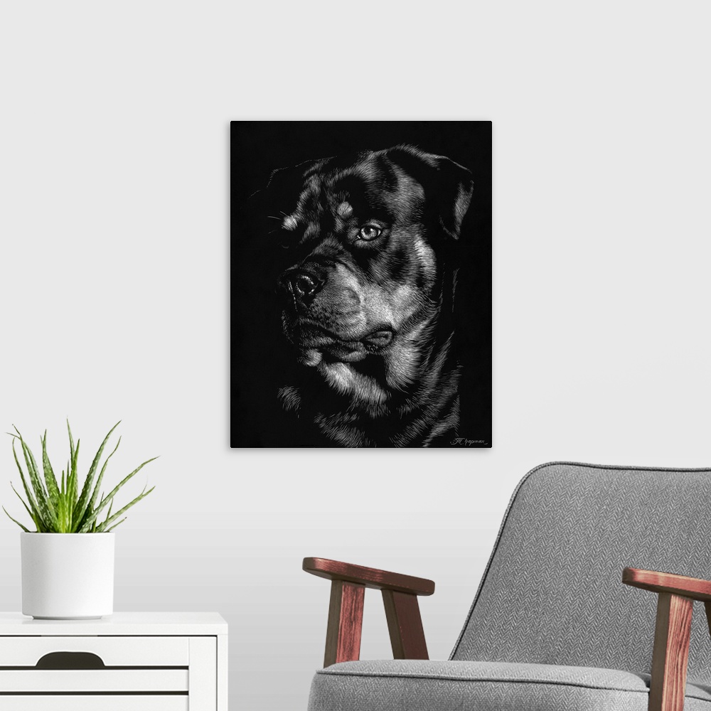 A modern room featuring Canine Scratchboard XII