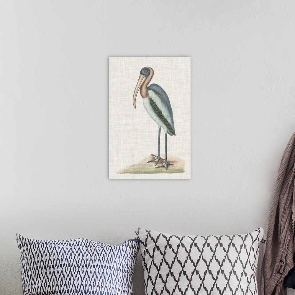 A bohemian room featuring Catesby Heron IV