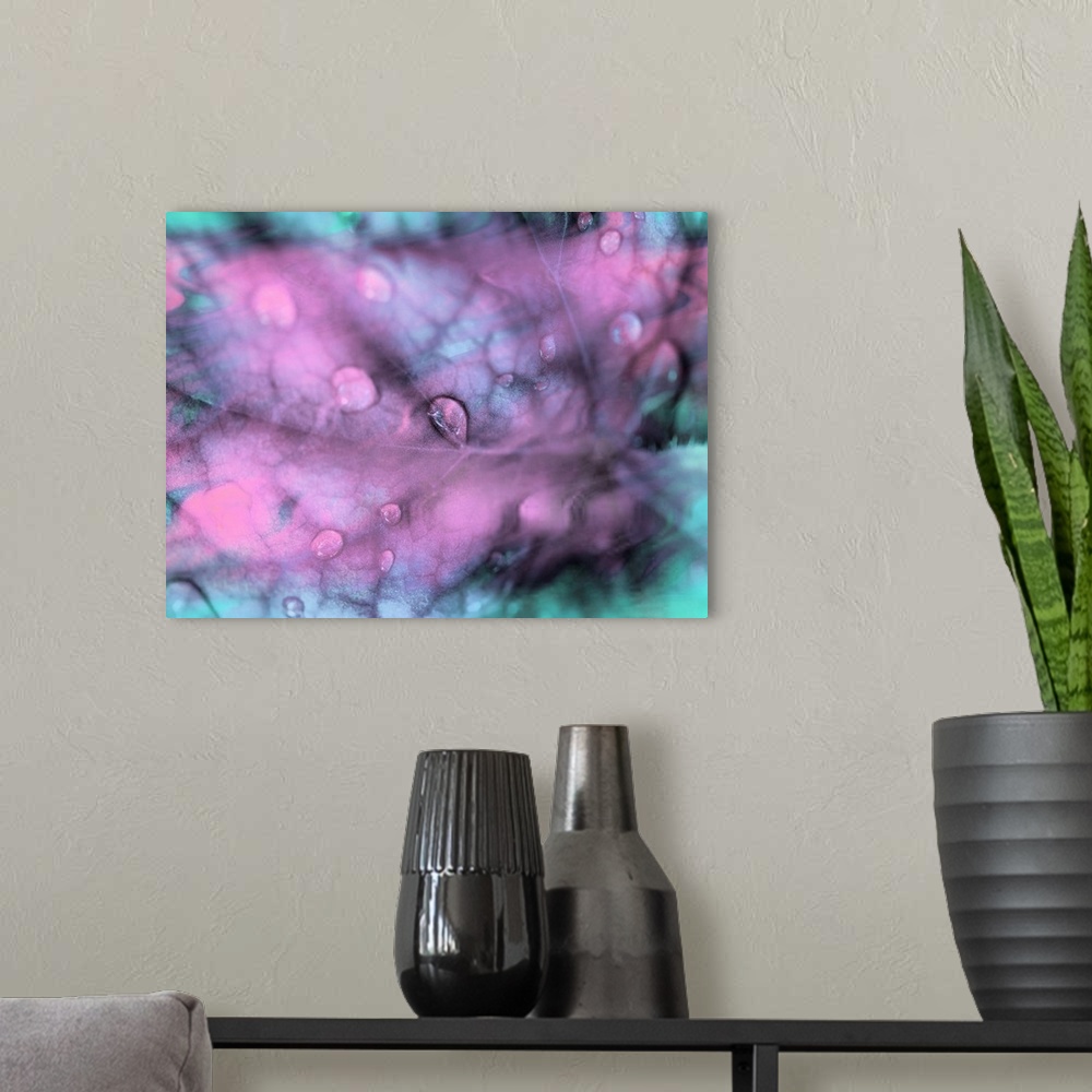 A modern room featuring Celestial Dew Drops I