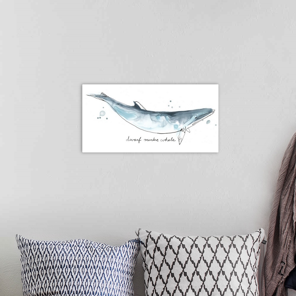 A bohemian room featuring Fun contemporary watercolor drawing of a dwarf minke whale.