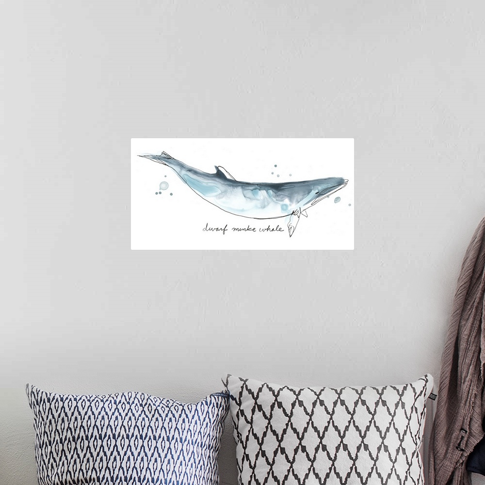 A bohemian room featuring Fun contemporary watercolor drawing of a dwarf minke whale.