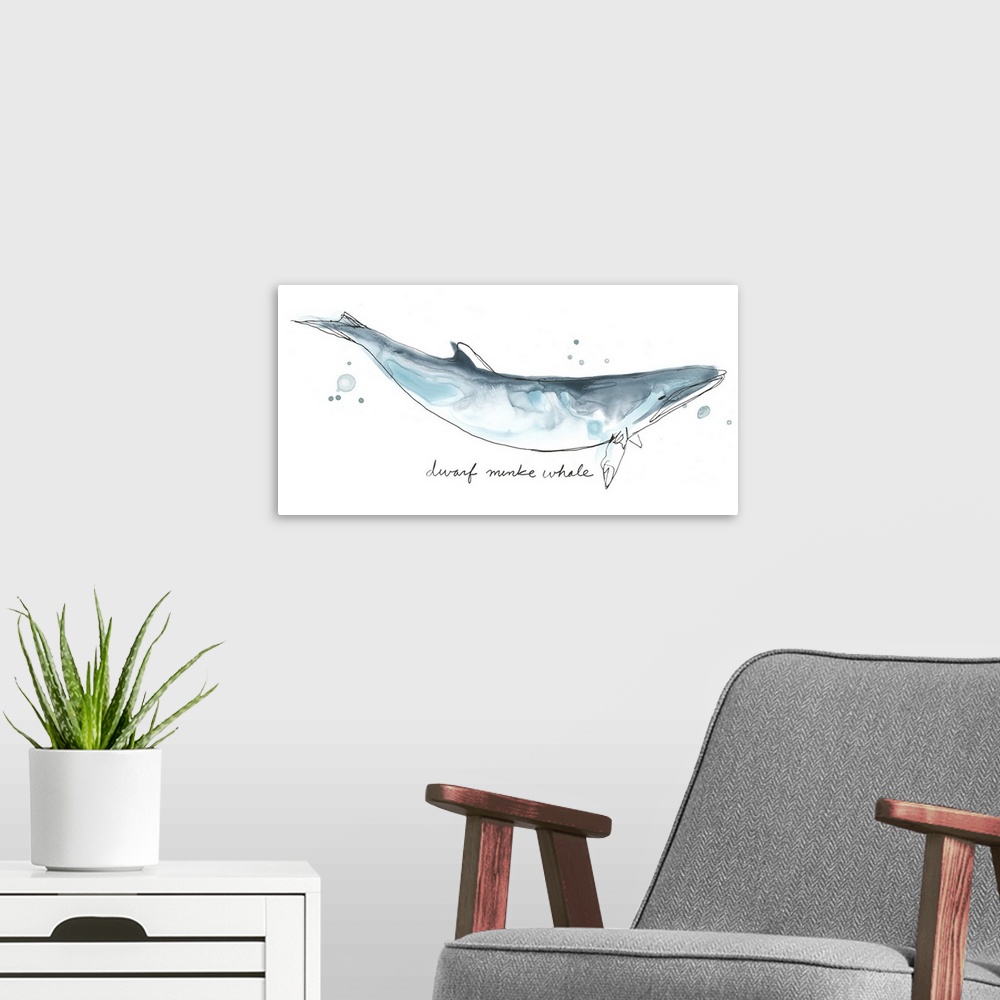 A modern room featuring Fun contemporary watercolor drawing of a dwarf minke whale.