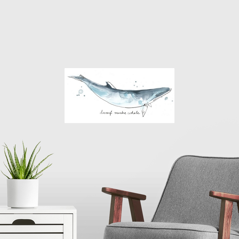 A modern room featuring Fun contemporary watercolor drawing of a dwarf minke whale.