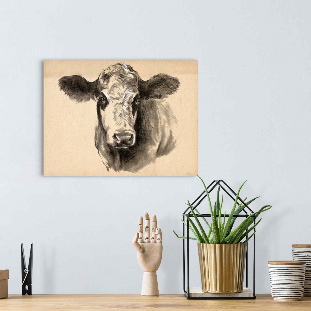 A bohemian room featuring Charcoal Cow I