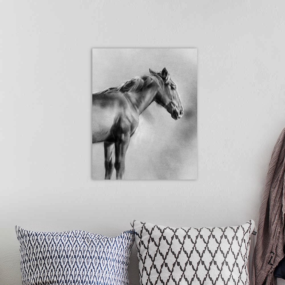 A bohemian room featuring Charcoal Equine Portrait I
