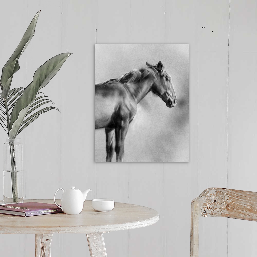 A farmhouse room featuring Charcoal Equine Portrait I
