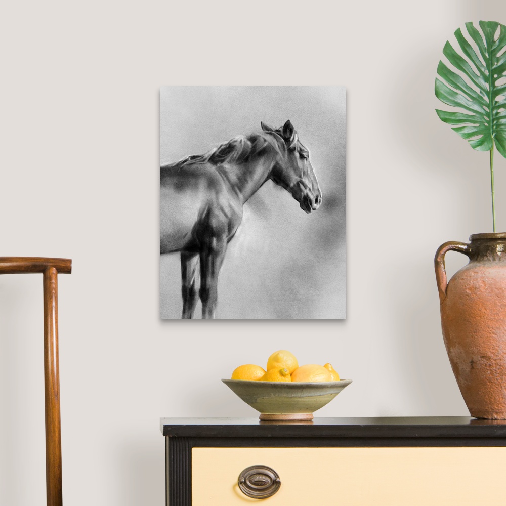 A traditional room featuring Charcoal Equine Portrait I