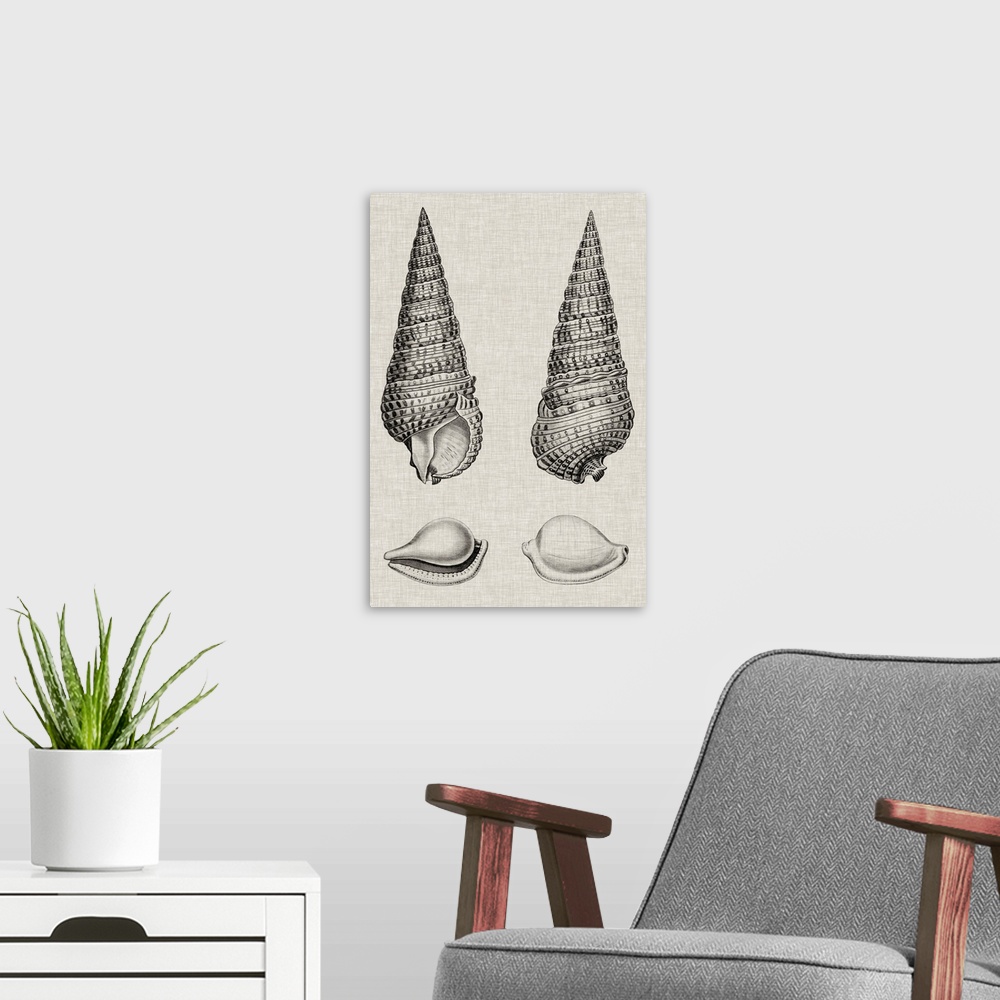 A modern room featuring Vintage-inspired shell illustration on a gray background.