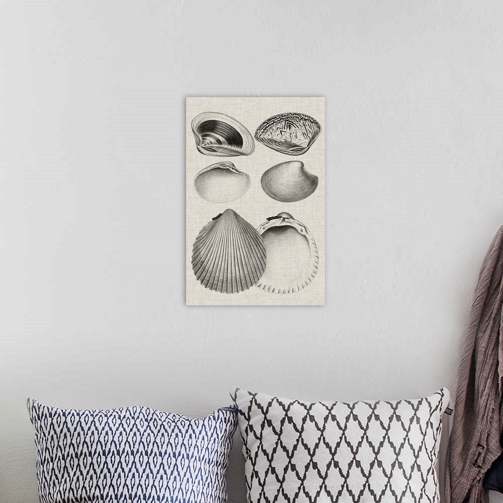A bohemian room featuring Vintage-inspired shell illustration on a gray background.