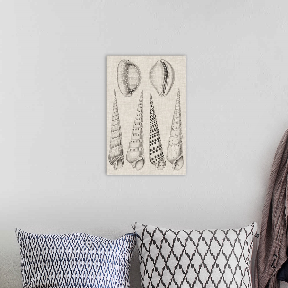 A bohemian room featuring Vintage-inspired shell illustration on a gray background.