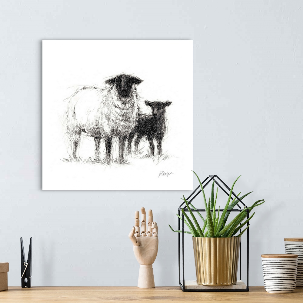A bohemian room featuring Charcoal sheep illustration in black and white.