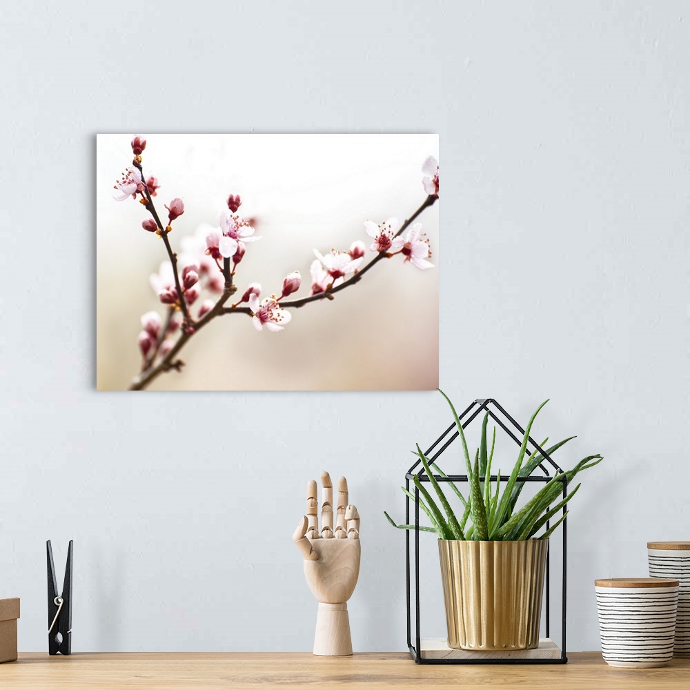 A bohemian room featuring Cherry Blossom Study I