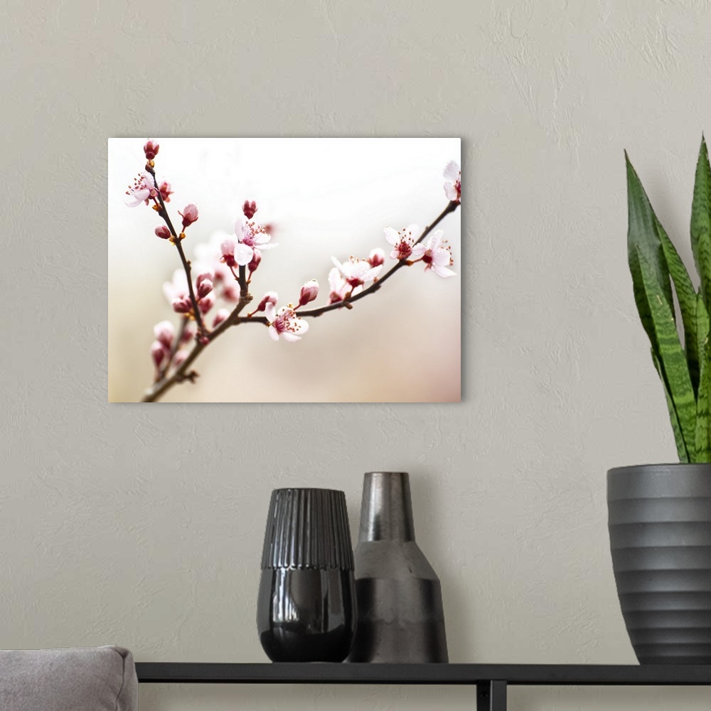 A modern room featuring Cherry Blossom Study I