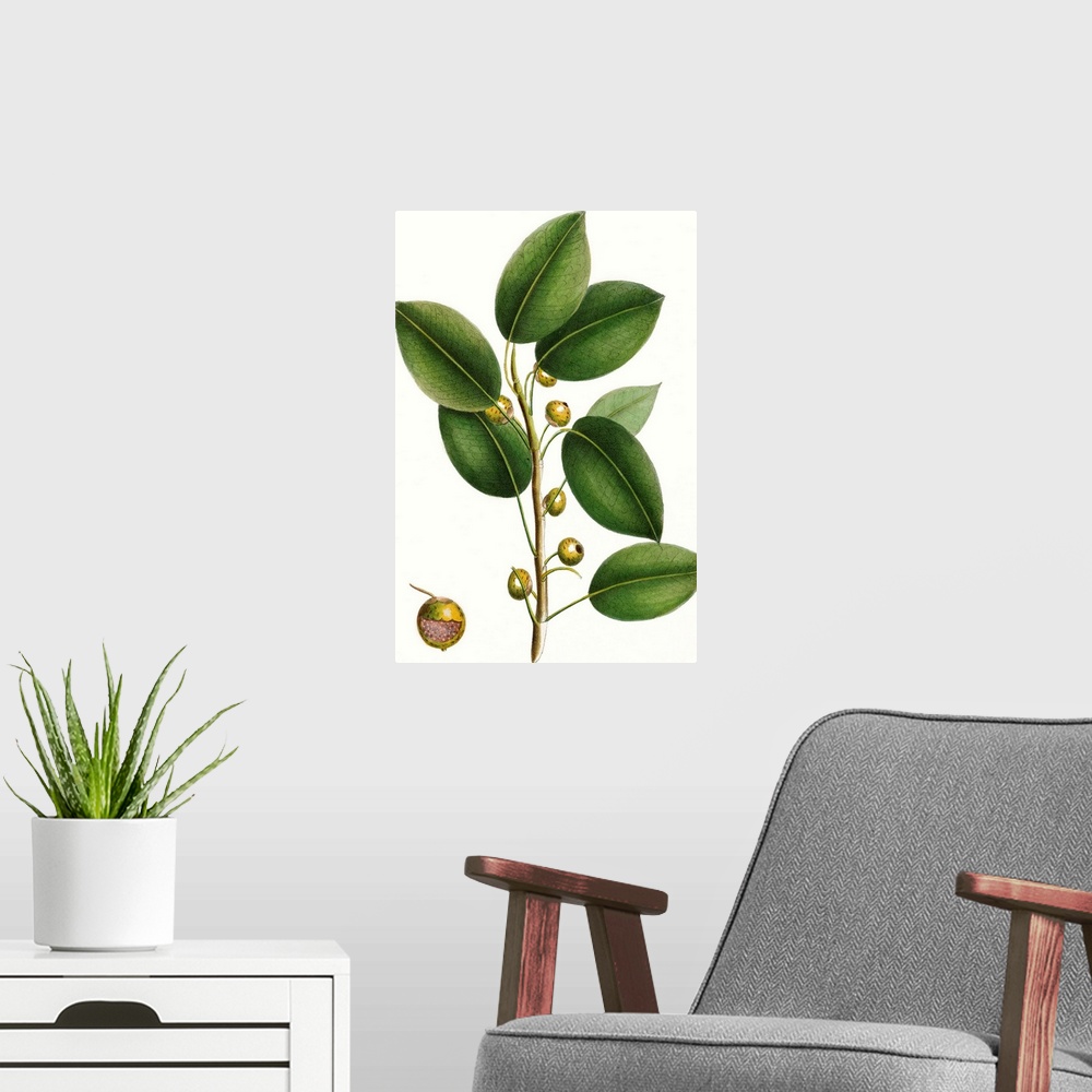 A modern room featuring This contemporary artwork features an illustration of a close up of a botanical plant colored ove...