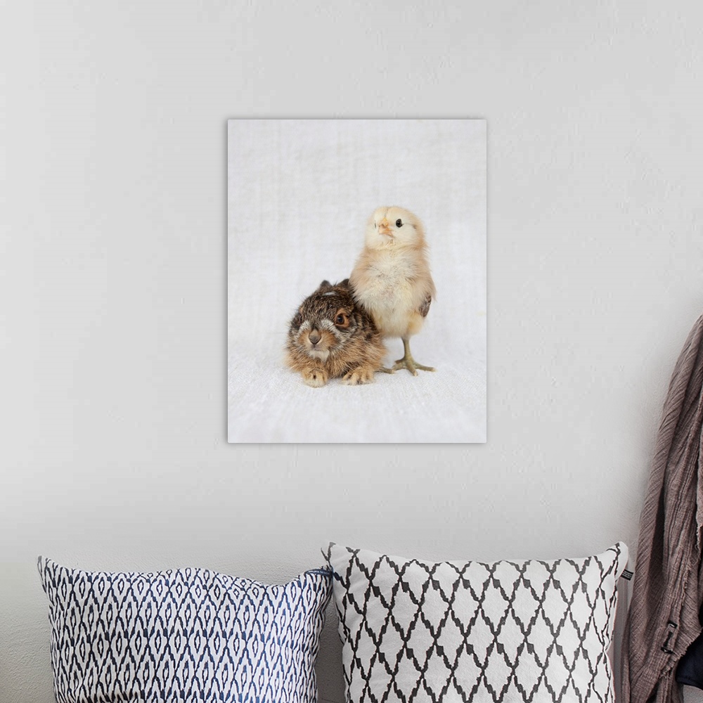 A bohemian room featuring Chick & Baby Rabbit