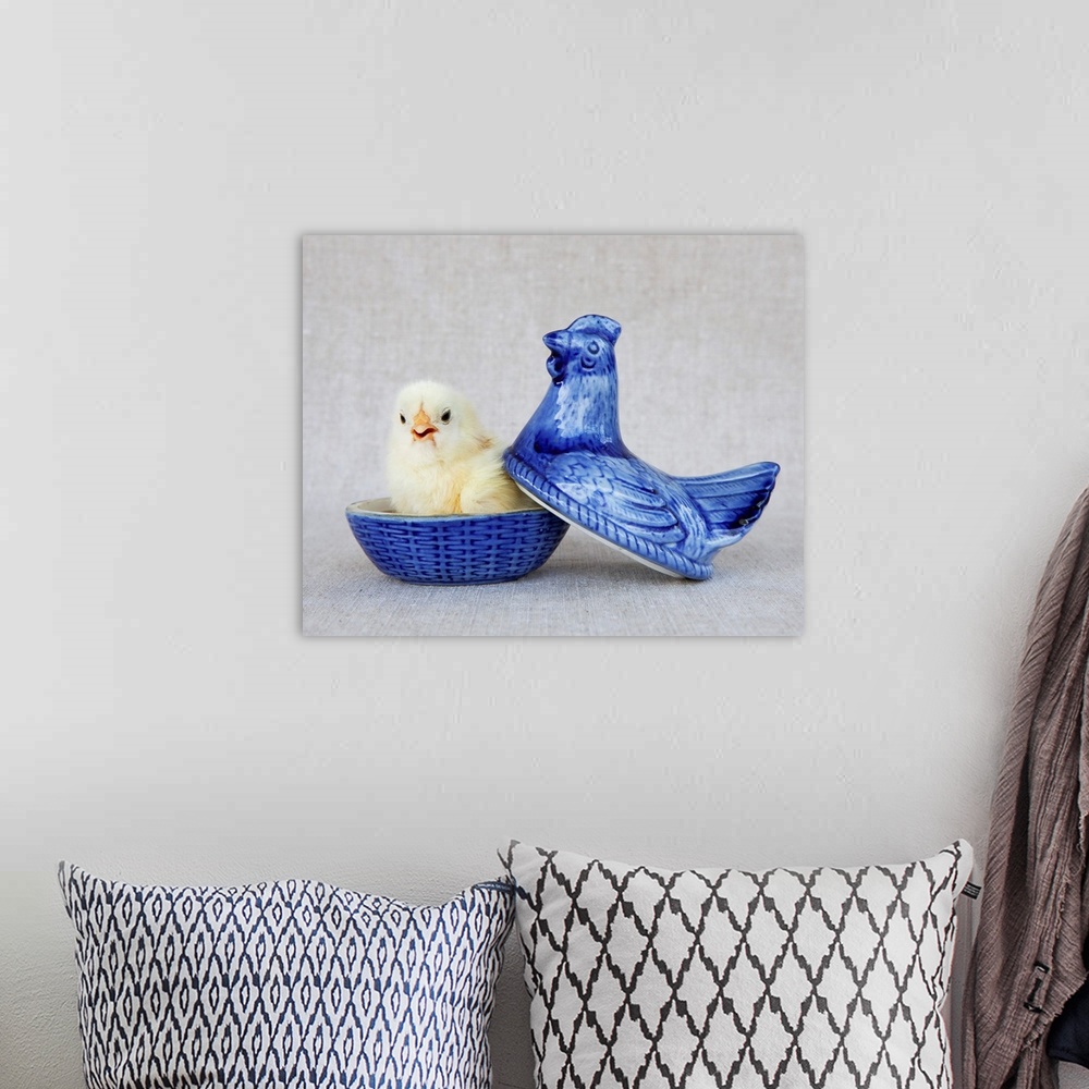 A bohemian room featuring Chick In Blue Hen
