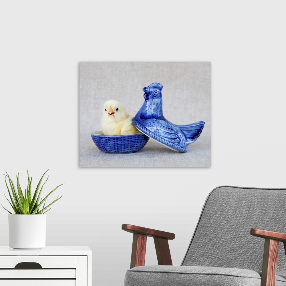 A modern room featuring Chick In Blue Hen