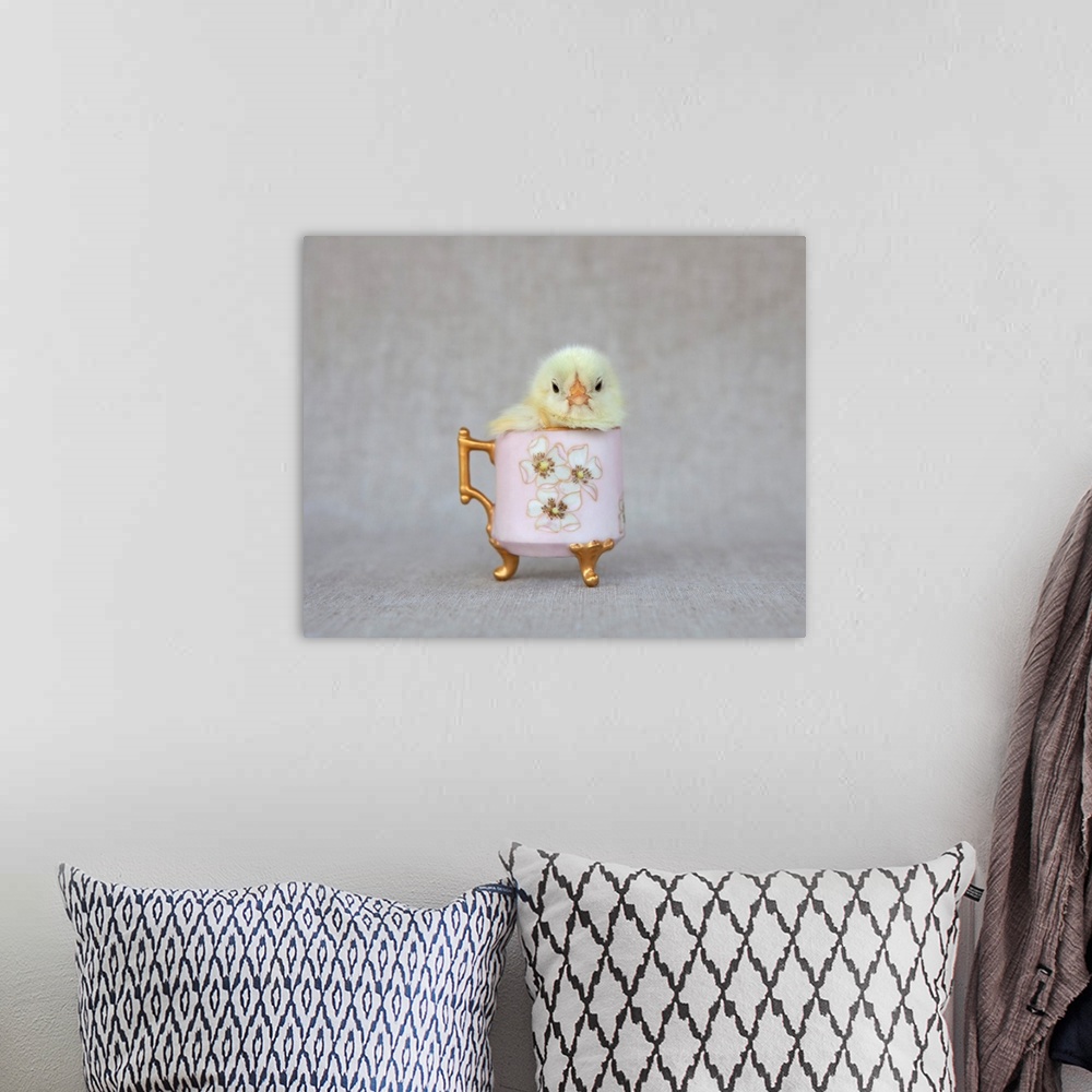 A bohemian room featuring Chick In Pink Cup