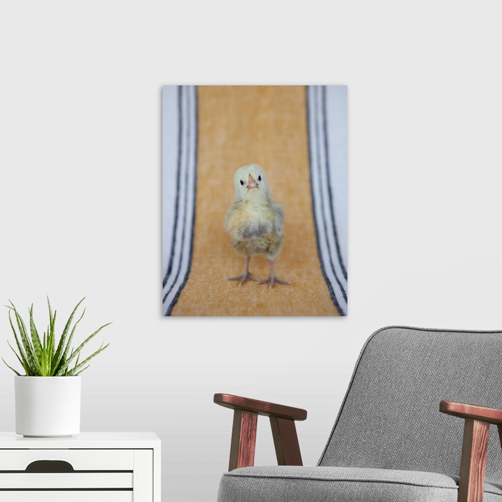 A modern room featuring Chick On Ochre Napkin I