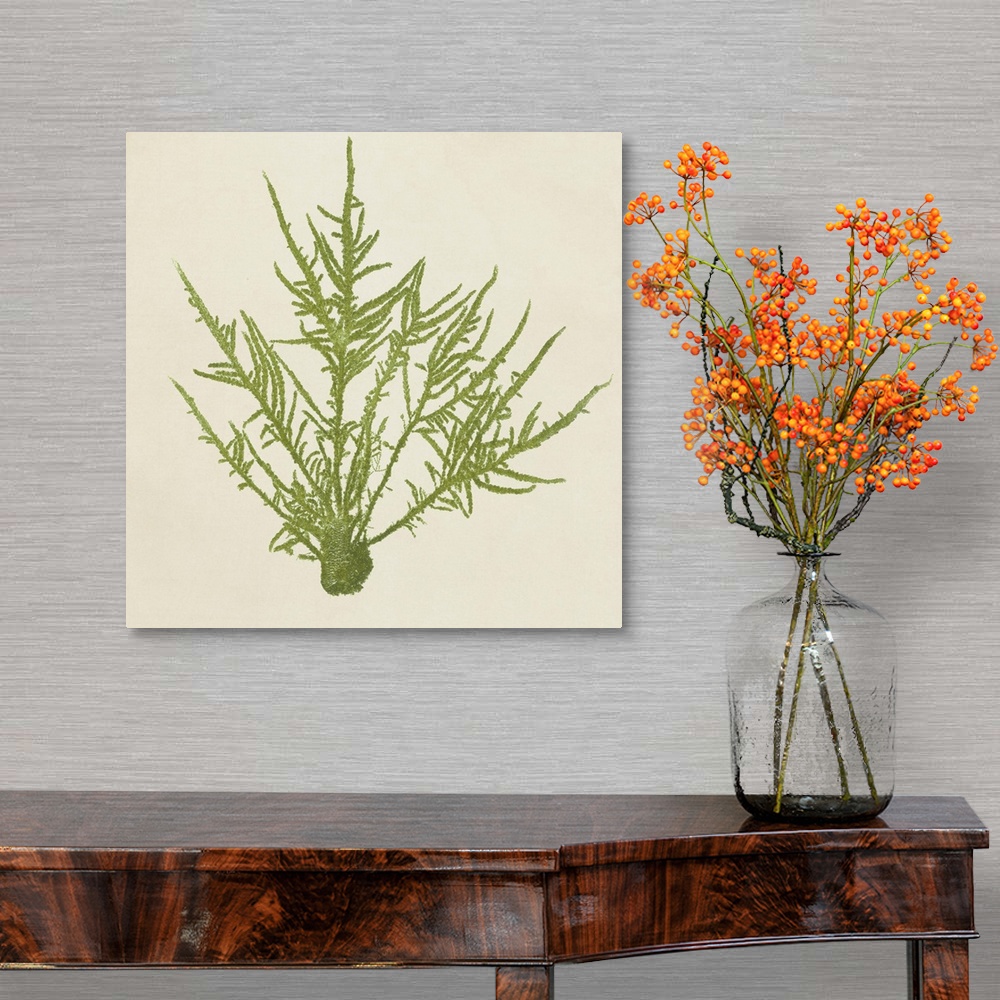 A traditional room featuring Contemporary artwork of watercolor painted seaweed against a cream colored background.