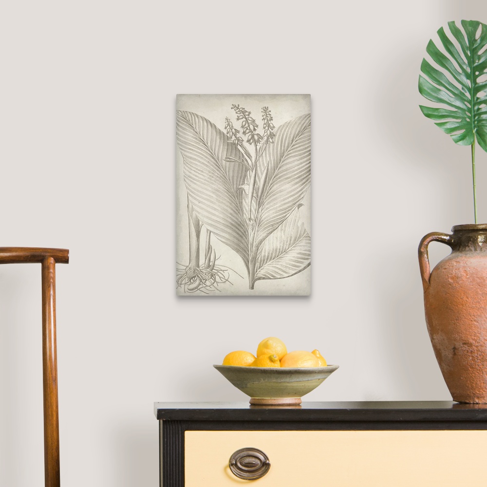 A traditional room featuring Vintage-inspired botanical illustration.