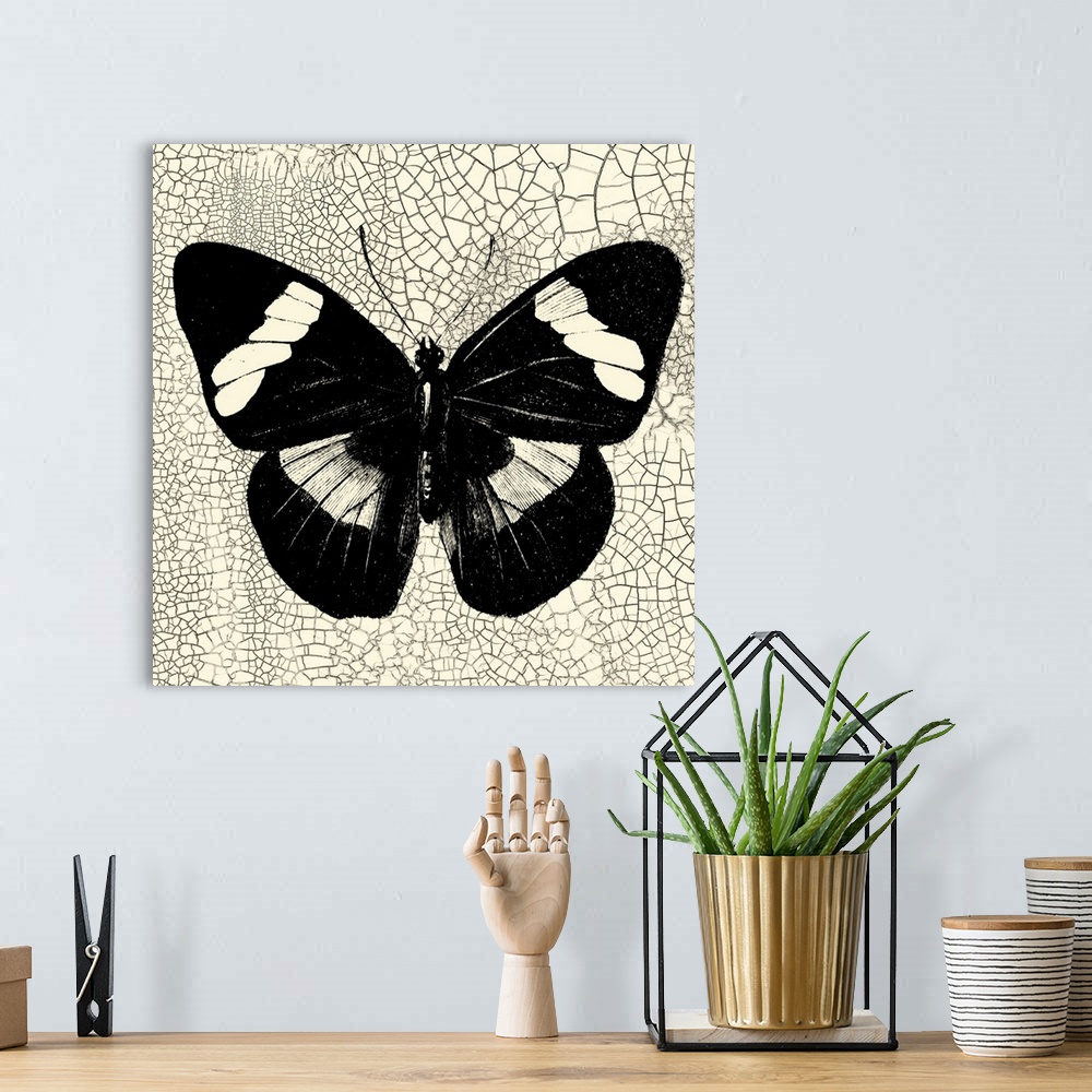 A bohemian room featuring Classical Butterfly III