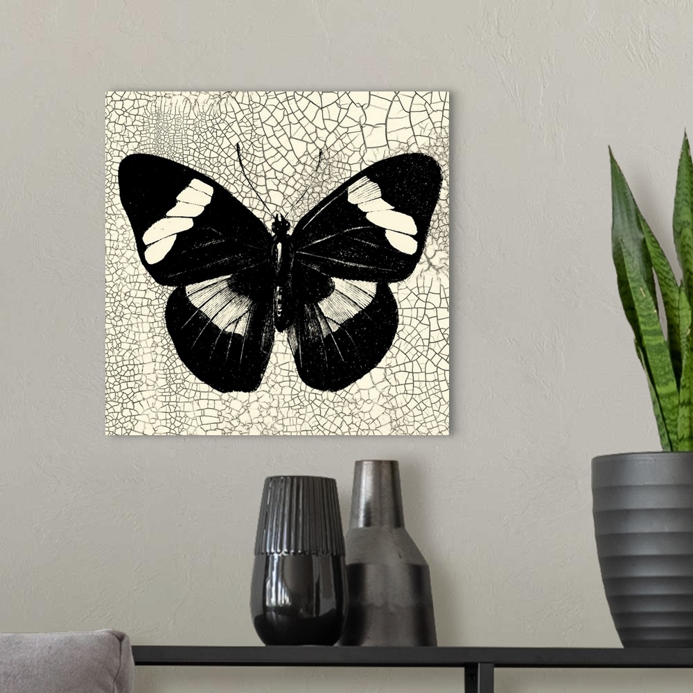 A modern room featuring Classical Butterfly III