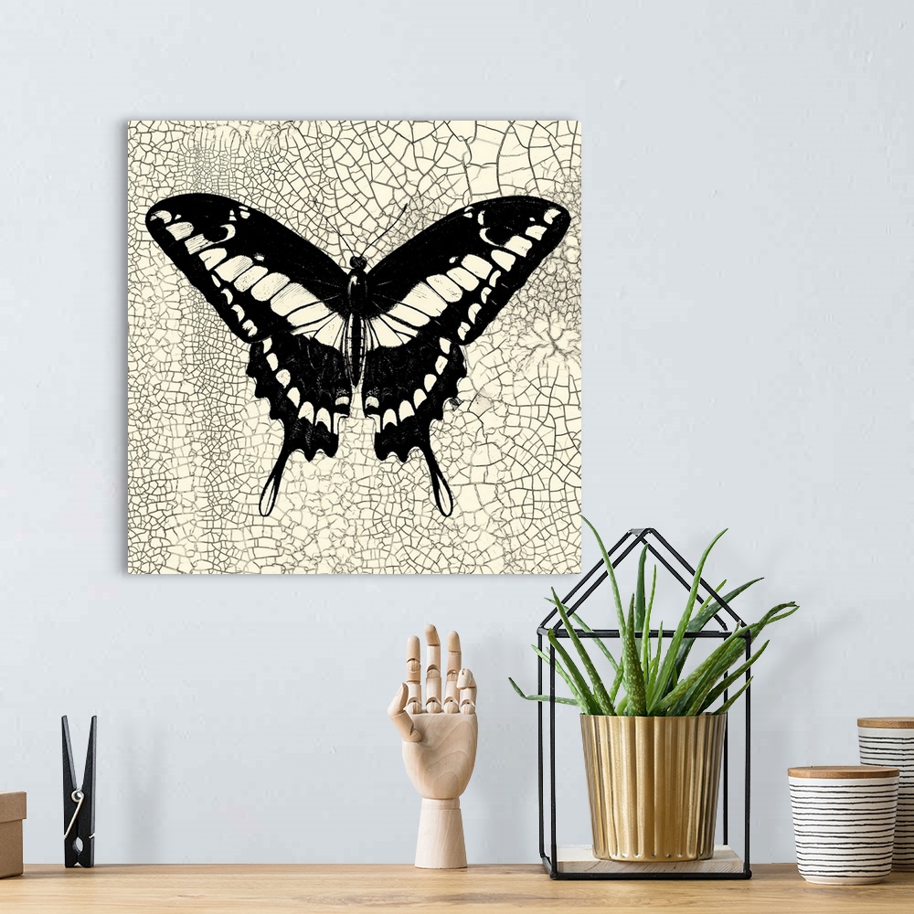 A bohemian room featuring Classical Butterfly IV