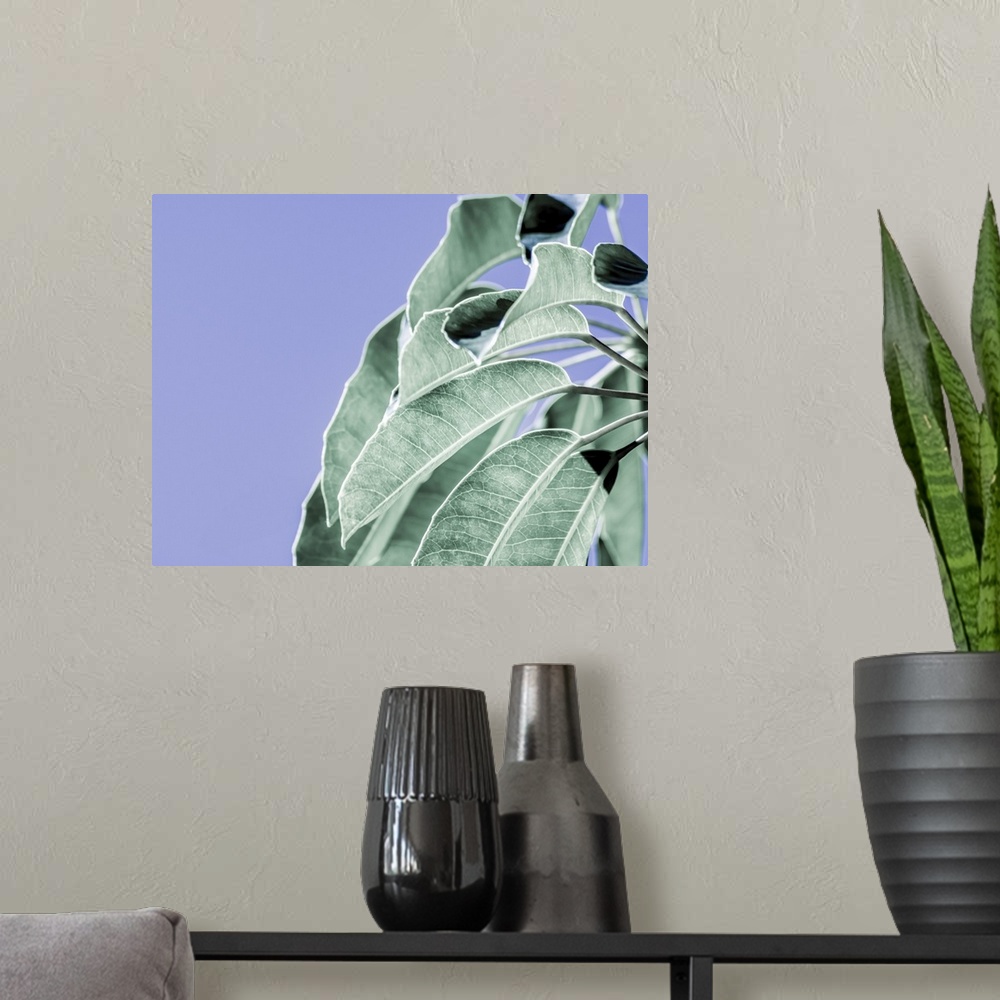 A modern room featuring Clear Leaves on Blue I
