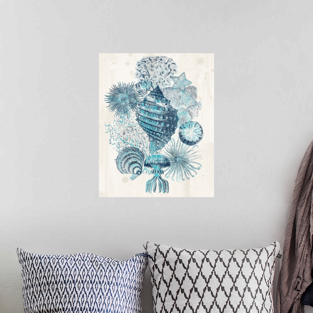 A bohemian room featuring Contemporary beach decor featuring a melange of shells in a variety of blue shades on a neutral b...
