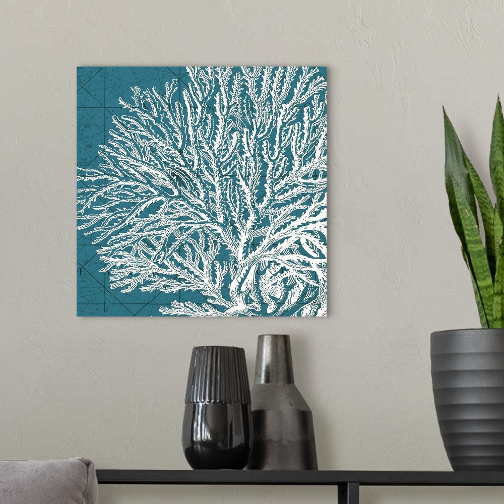A modern room featuring Wall docor featuring a stamped impression of a piece of coral on top of a coastal map.