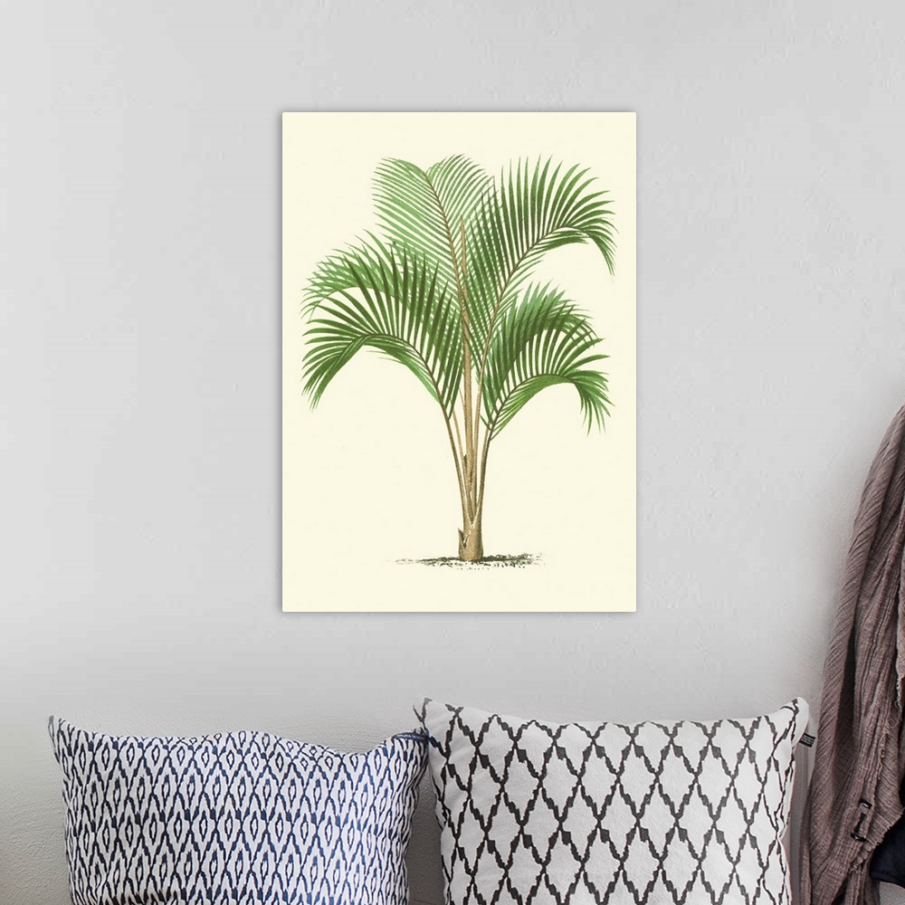 A bohemian room featuring Coastal Palm I