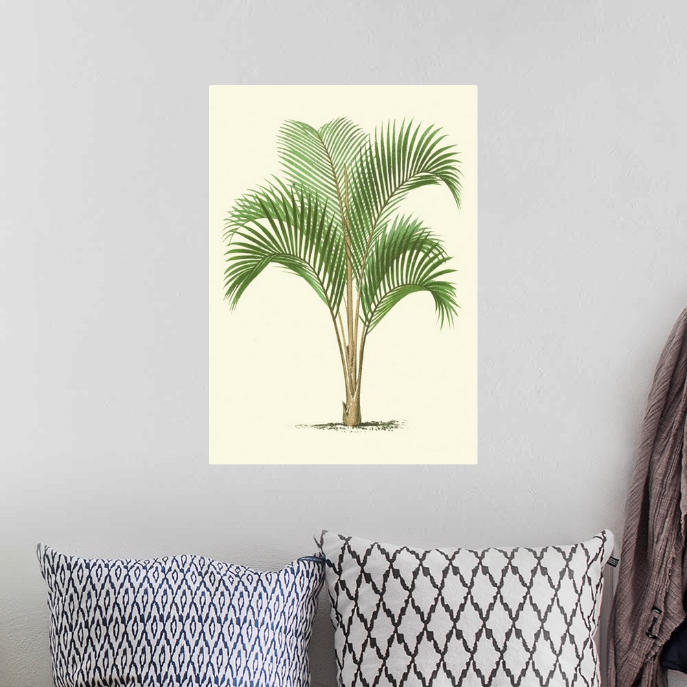 A bohemian room featuring Coastal Palm I