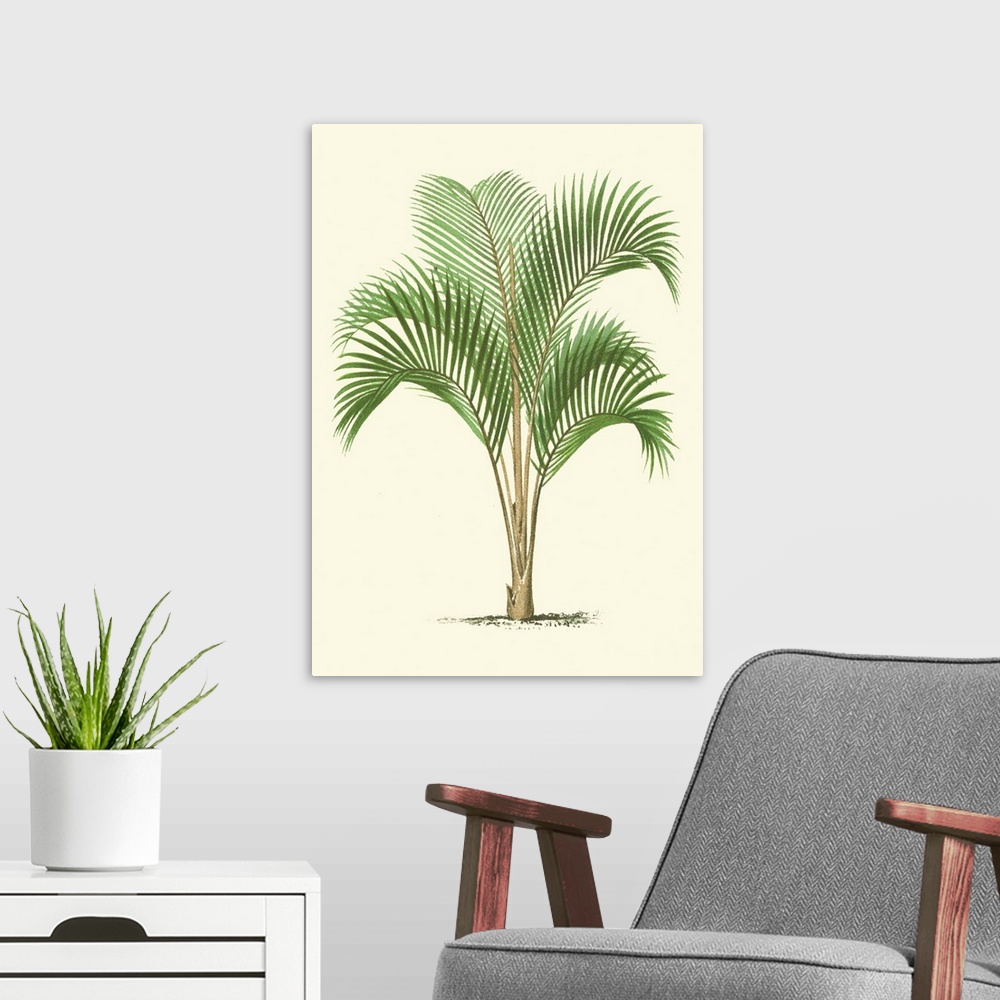 A modern room featuring Coastal Palm I