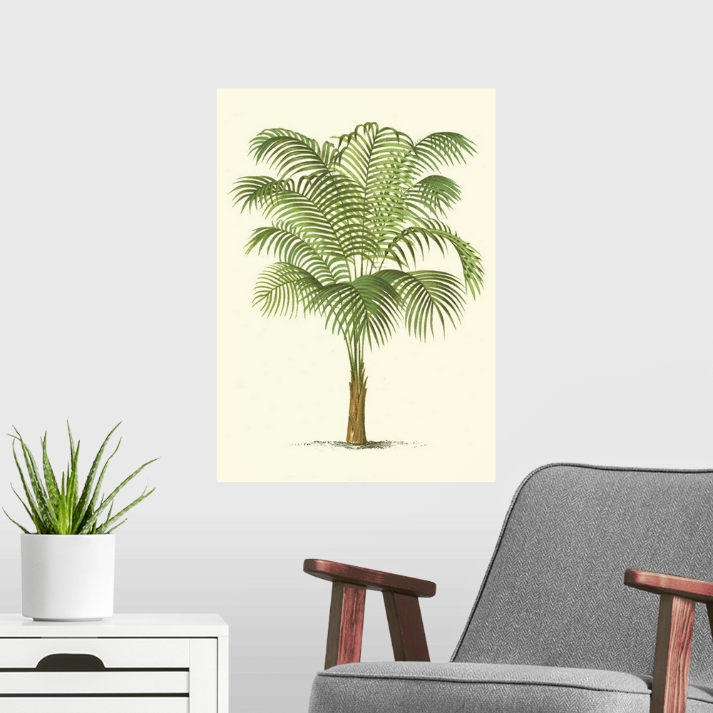 A modern room featuring Coastal Palm III