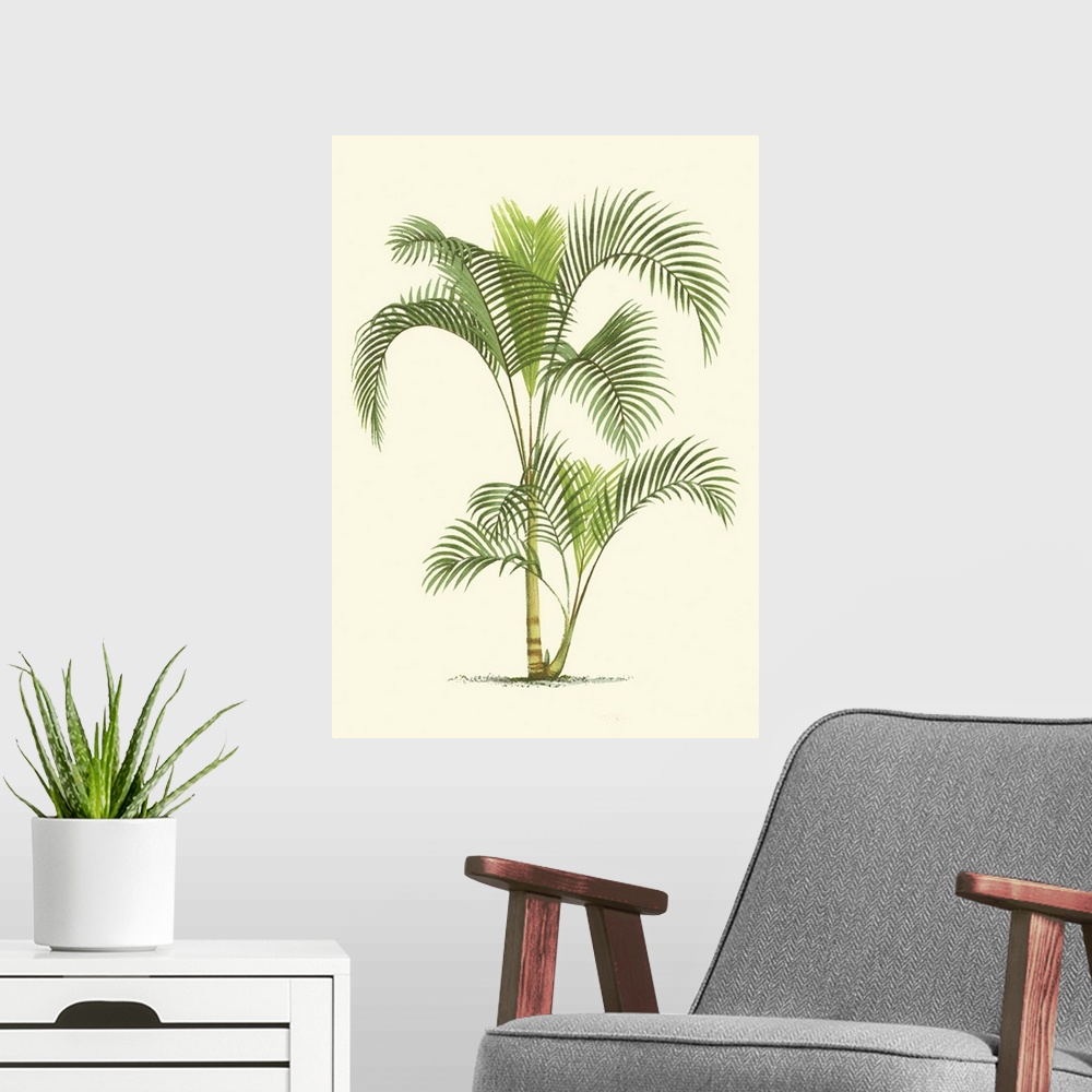 A modern room featuring Coastal Palm IV