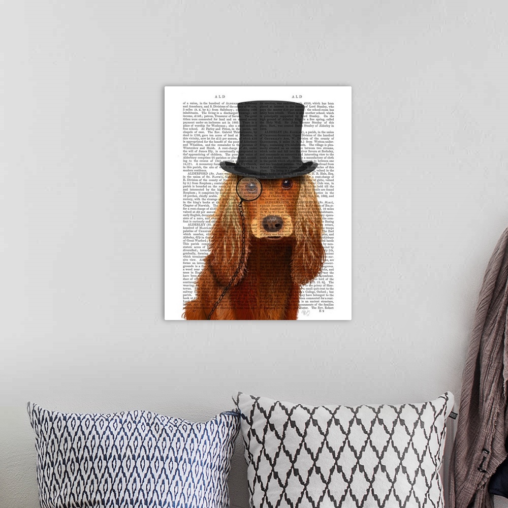 A bohemian room featuring Cocker Spaniel, Formal Hound and Hat