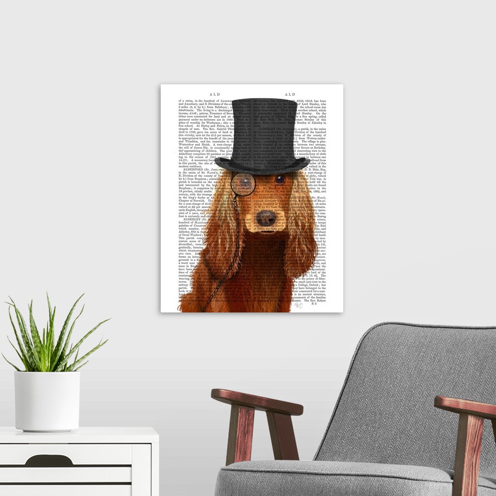 A modern room featuring Cocker Spaniel, Formal Hound and Hat